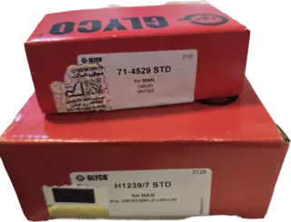 تصویر یاتاقان مان یاوران و پیلسان مان 500 و مان 510 و مان TGX